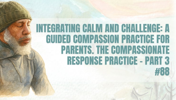 #88 Special Compassionate Response Practice – Part 3 The Practice