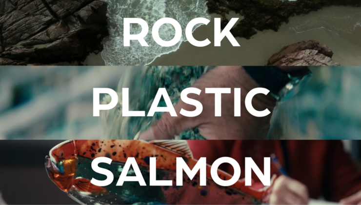 Rock Plastic Salmon