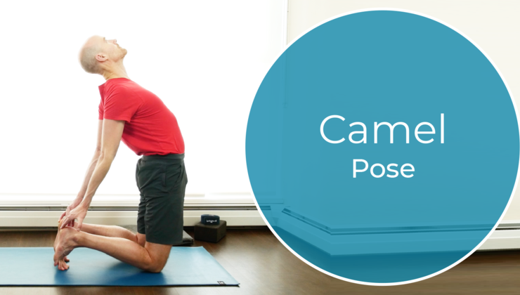 Your Yoga Flow Studio | Camel Pose Video Tutorial