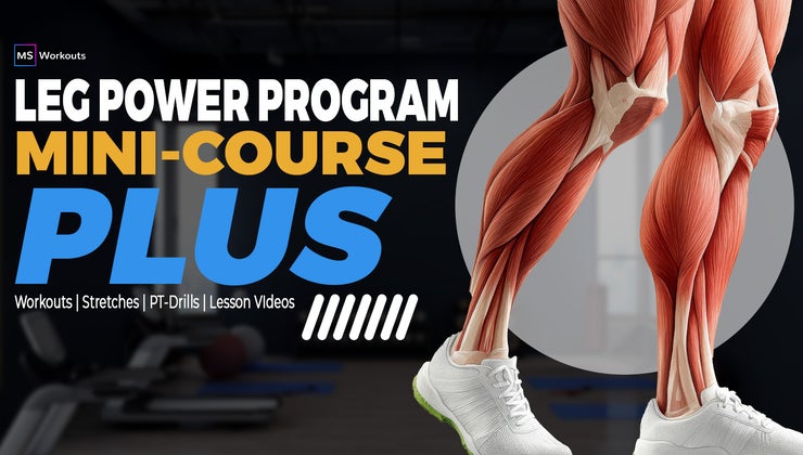 Leg Power Platform The Leg Power Program PLUS