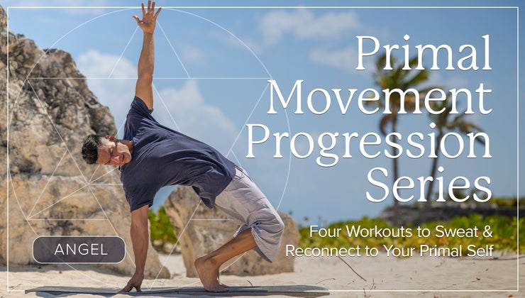 Primal Movement Progression Series ⧐
