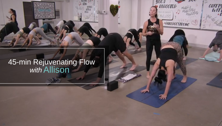 Power Yoga Online | On Demand Yoga | Online Fitness Classes
