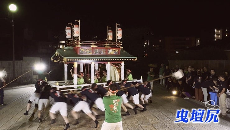 サツキ/大玉/良形株【現品発送】管理70741 サツキ/大玉/良形株【現品発送】管理70741 - メルカリ