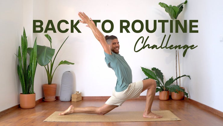 Back-To-Routine