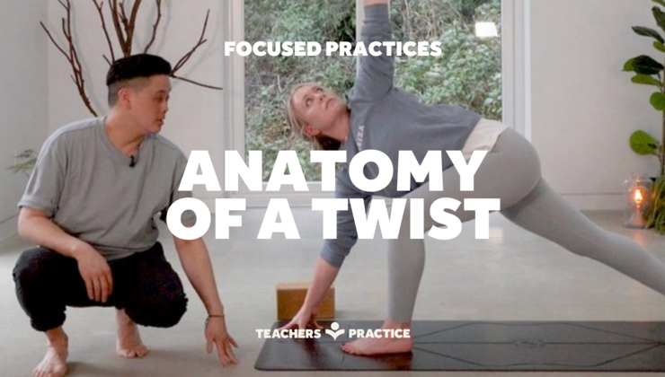 Client Twisting Anatomy of a Twist