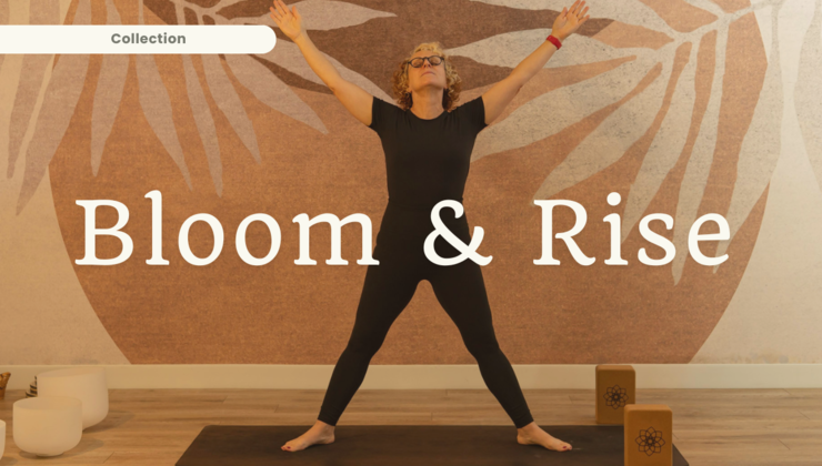 Anne Bloom Rise Bloom & Rise Collection