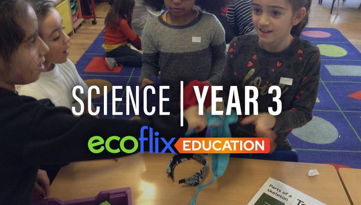 Science: Year 3
