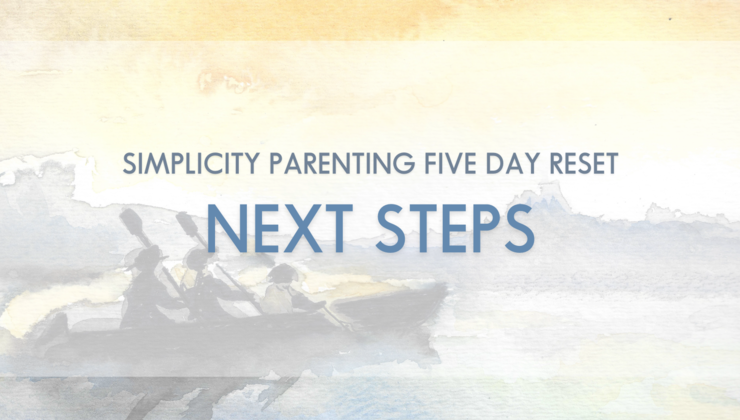 5-Day Reset - Next Steps