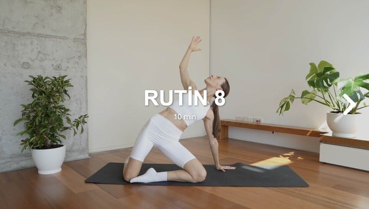 Rutin 8