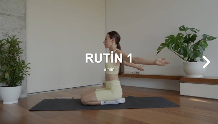 Rutin 1