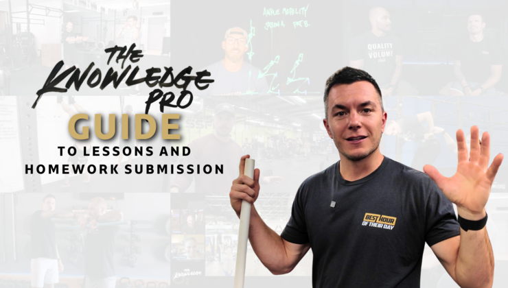 The Knowledge Pro Guide To Lessons And Homework Submission