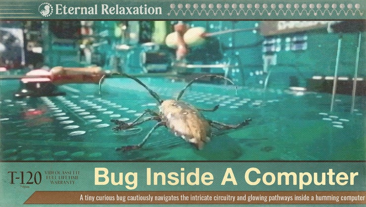 Bug Inside A Computer (Eternal Relaxation)