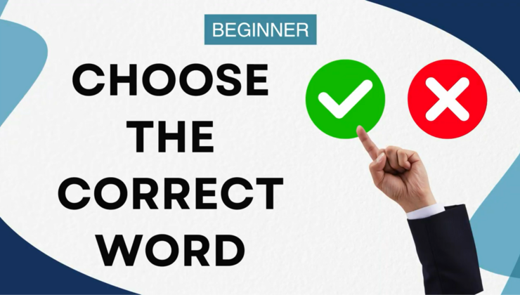 Correct Object Choose the Correct Word: Everyday Objects (Beginner)