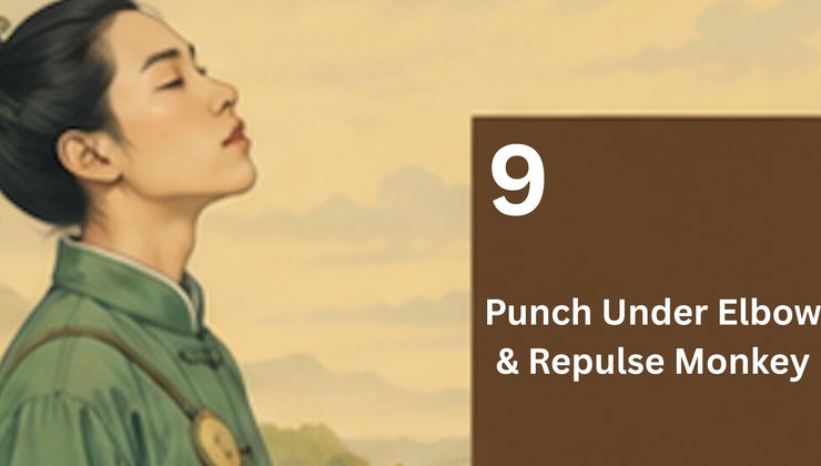 Repulse Monkey 9. Punch Under Elbow & Repulse Monkey