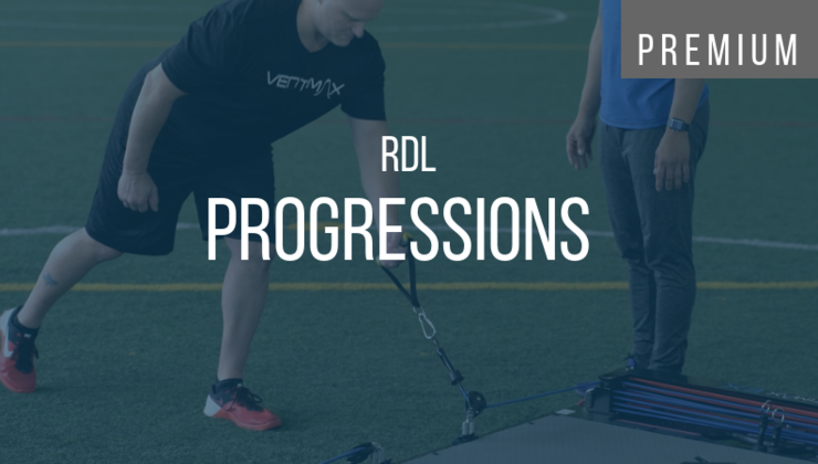 RDL Progressions | VertiMax