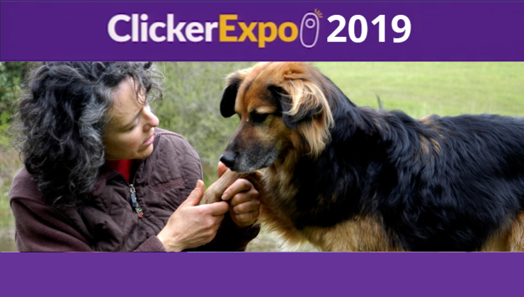 Science Clicker A Moment of Science: Clicker Training 101 (2019) | Video on Demand by ...
