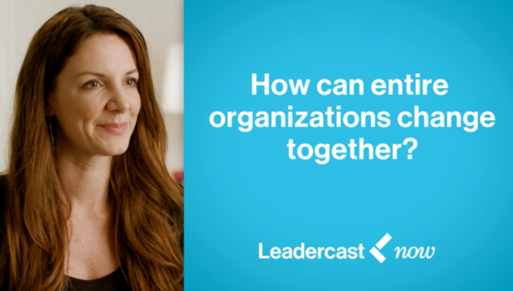 Irreplaceable Organization How Can Entire Organizations Change Together?