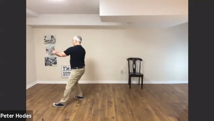 Yang 37 Form - Deflect Down, Parry and Punch