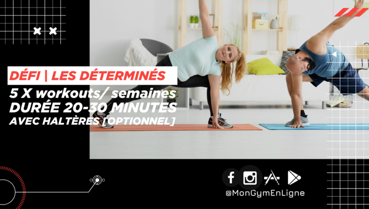 Defi 28 Jours Calisthenics Gratuit Pdf