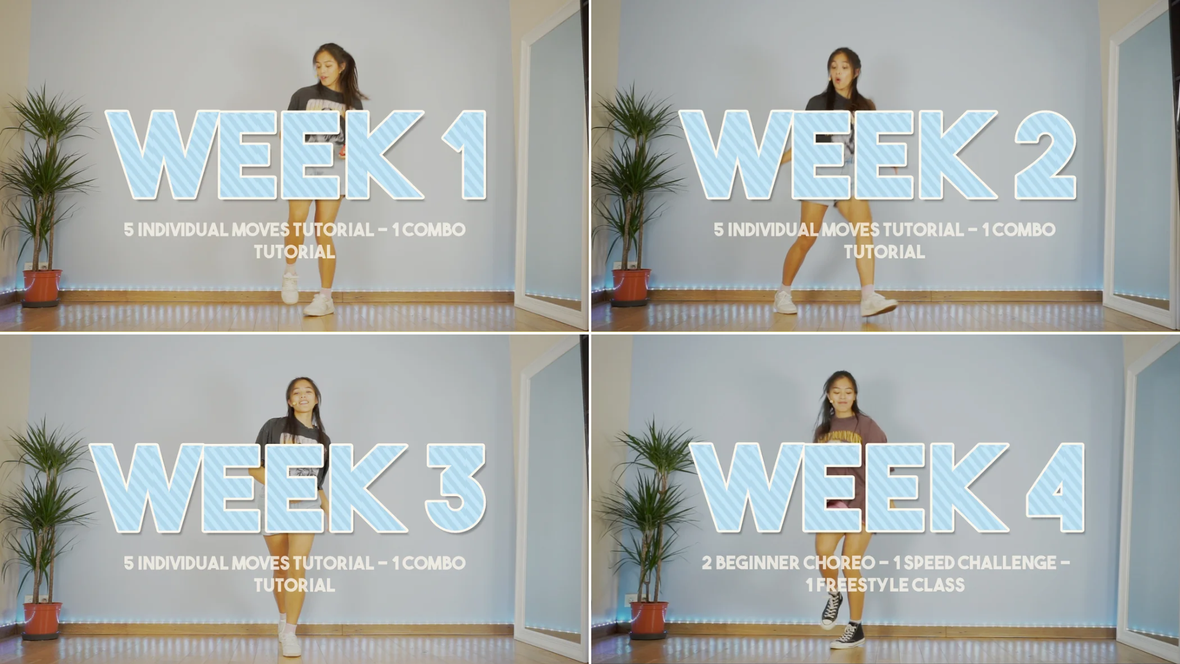 Beginner Program