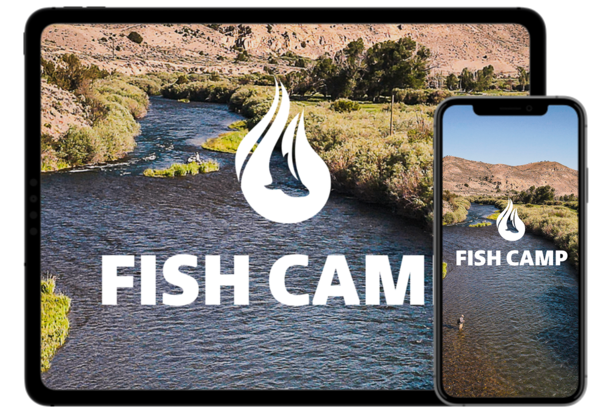 Fish Camp iOS and Android apps