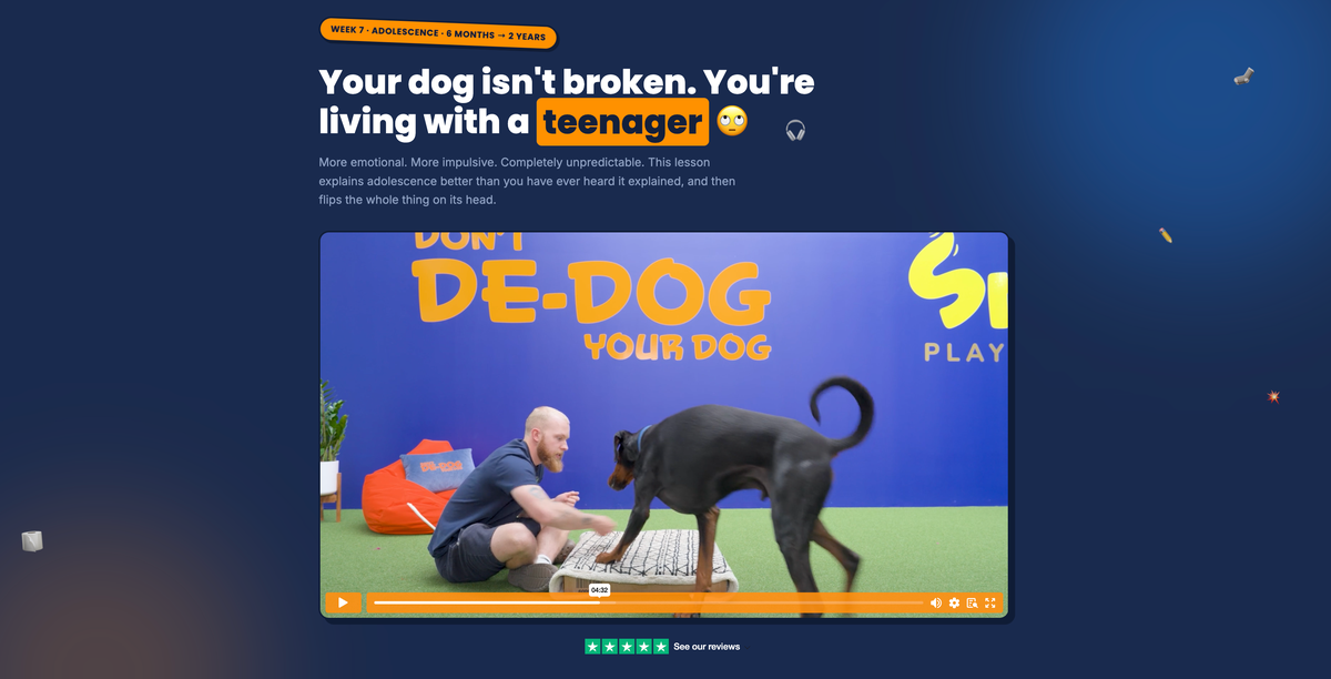 A Whole Dog Blueprint lesson page on a laptop