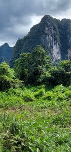 Available in application stores for mobile