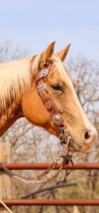 Available in application stores for mobile