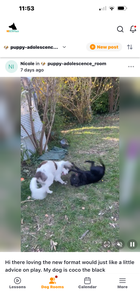 Available in application stores for mobile