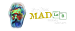 MAD LAB BJJ