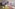 【2025年8月30日放送】出演者が県内各地でアルバイトに大奮闘!!　9月29日まで配信