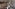 Moses Atieli's smothered dead, rotten jiggers removed #2 (Oct 1st 2025)