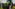 ROYAL HIGHLAND SHOW 2026: Tractor and machinery highlights (Part 1/3)