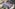 【2026年7月11日放送】 二面性スクープ!オモテとウラ 8月10日まで配信