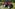 REVIEW: Case IH Farmall 120M tractor