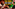  EXCLUSIVE! PART 2: WHAT IF THE THREAT IS ALREADY HERE? The Videos They NEVER Expected You To See! (Aug. 11th, 2026)
