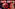 Exclusive! Earth’s Vital Signs Are Depleting and Flashing Red! (October 1st, 2026) 