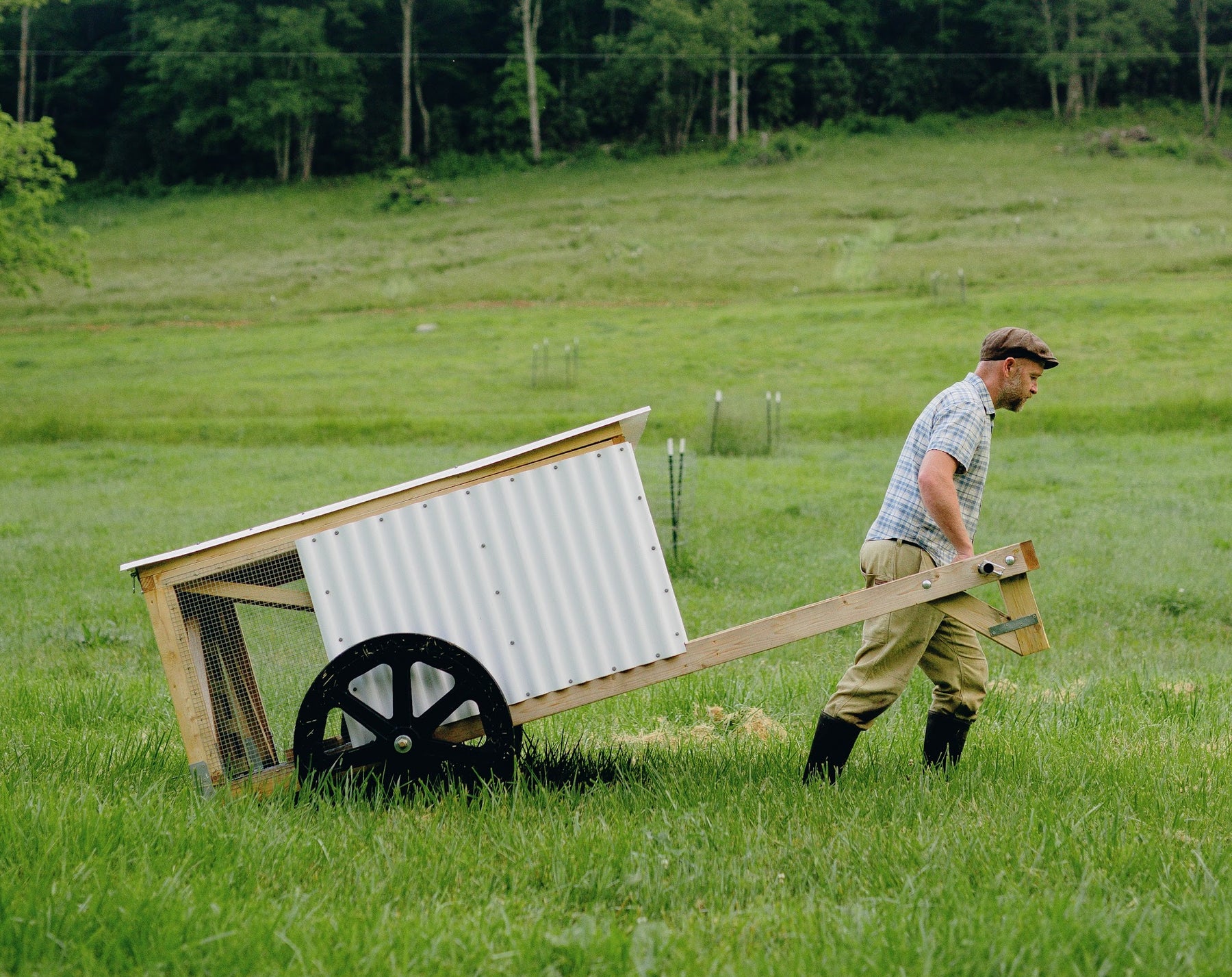 Justin Rhodes moving the ChickShaw across pasture
