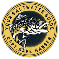 Your Saltwater Guide