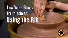 Troubleshoot: Using the Rib