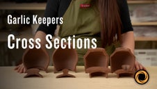 Cross Sections