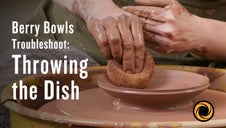 Troubleshoot: Throwing the Dish
