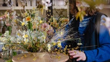 narcissi and grasses