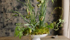 Modern design with bed of moss