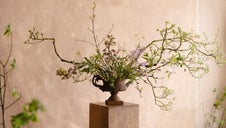 Horizontal design of spring branches