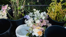 buckets of flowers
