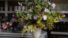 summer flowers