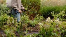 garden tools