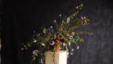 Terracotta bowl of summer flowers