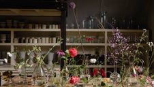 Botanical specimens in glass